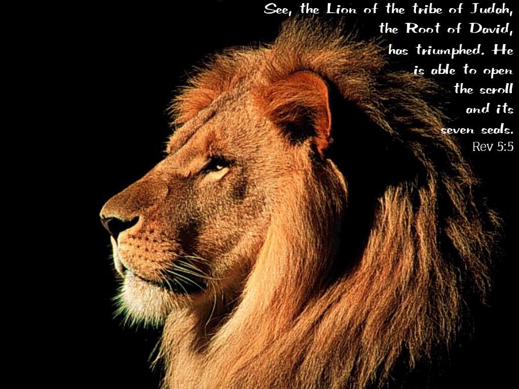 1024x768 Lion Of Tribe Judah Christian Wallpaper Free Download Of The Tribe Of Judah