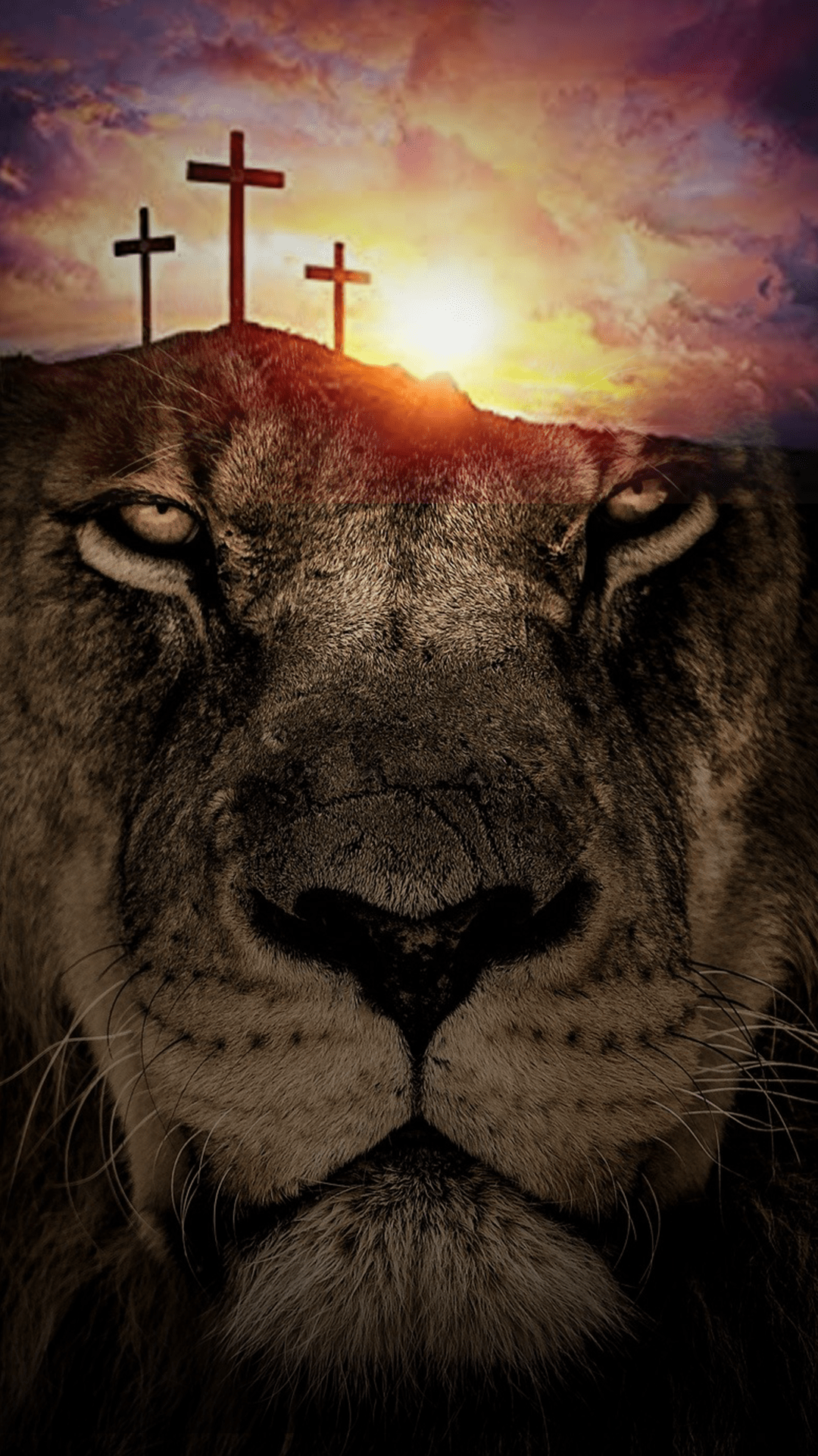 Lion Cross Wallpapers - Top Free Lion Cross Backgrounds - WallpaperAccess