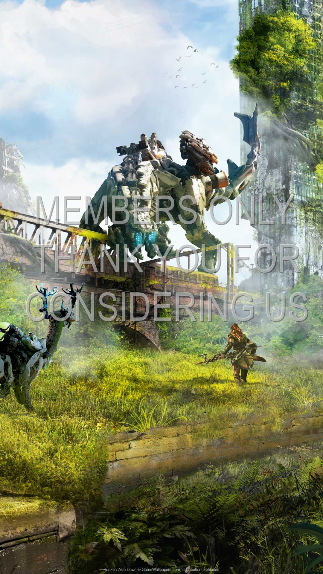 1080x1920 Horizon: Zero Dawn wallpaper 08 1080p Vertical