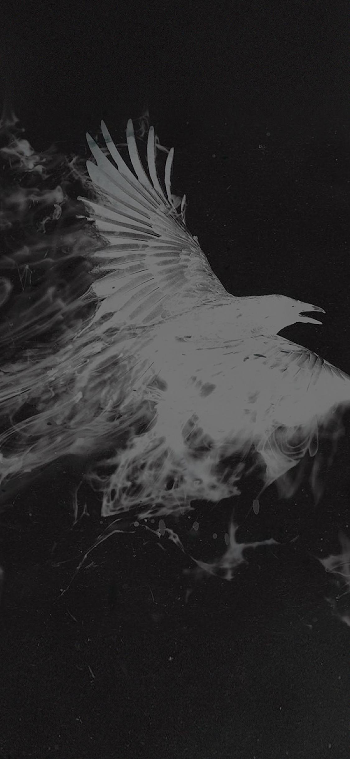 1125x2436 iPhoneXpapers bird smoke art illust