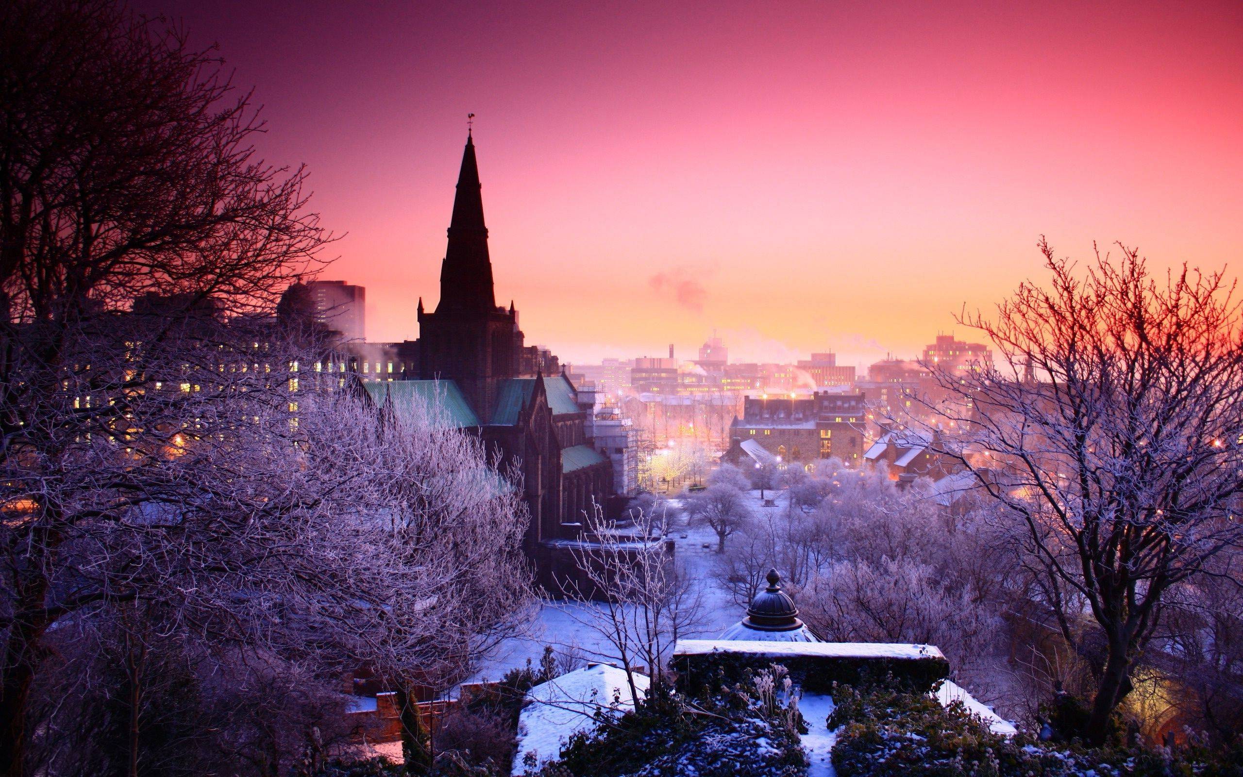 2560x1600 Winter Pink Wallpaper