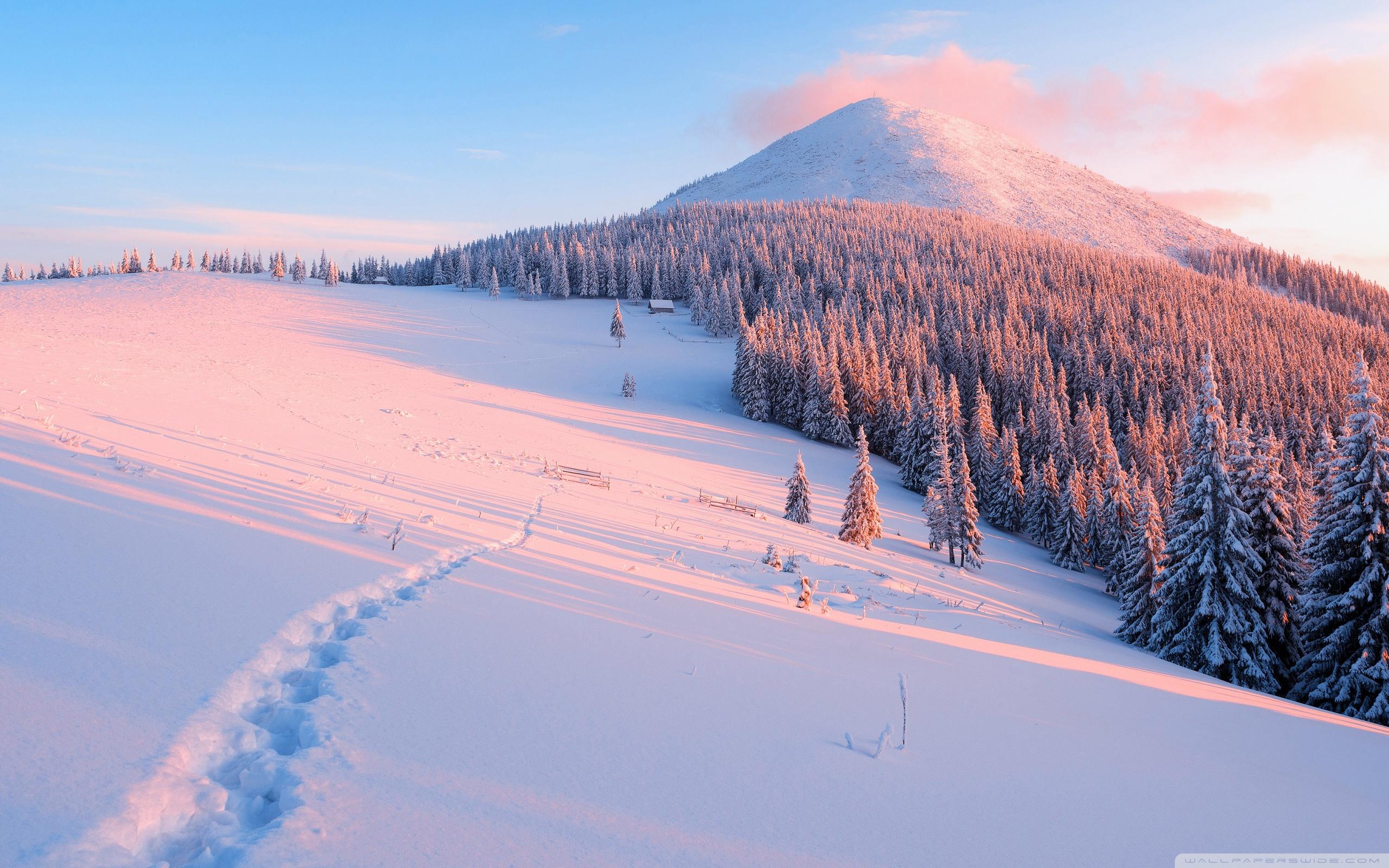 2560x1600 Winter, Nature Ultra HD Desktop Background Wallpaper for : Widescreen & UltraWide Desktop & Laptop : Multi Display, Dual Monitor : Tablet