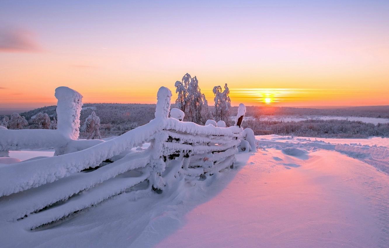 1332x850 Wallpaper winter, the sun, snow, nature, background, Wallpaper, wallpaper, widescreen, winter, background, full screen, HD wallpaper, widescreen, pink sky image for desktop, section природа