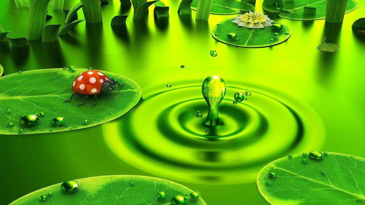 1200x675 Famous Wallpaper Water and Bug HD Wallpaper. Famous HD Wallpaper