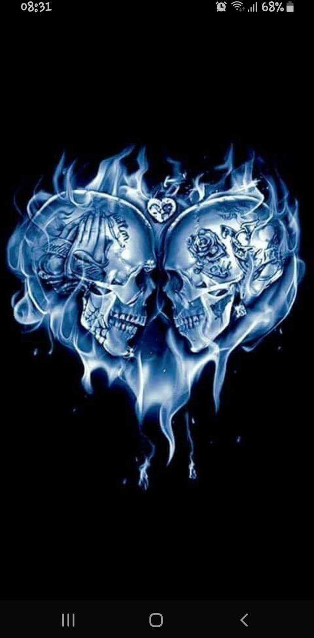 Skull Lovers Wallpapers - Top Free Skull Lovers Backgrounds 