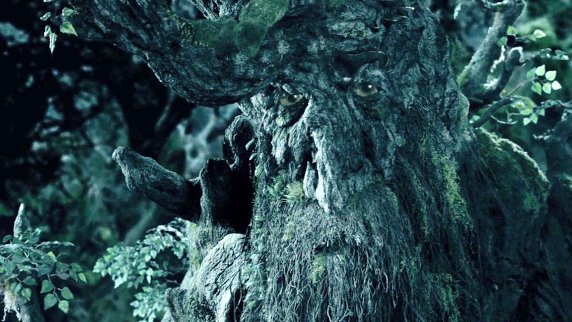 Treebeard Wallpapers - Top Free Treebeard Backgrounds - WallpaperAccess