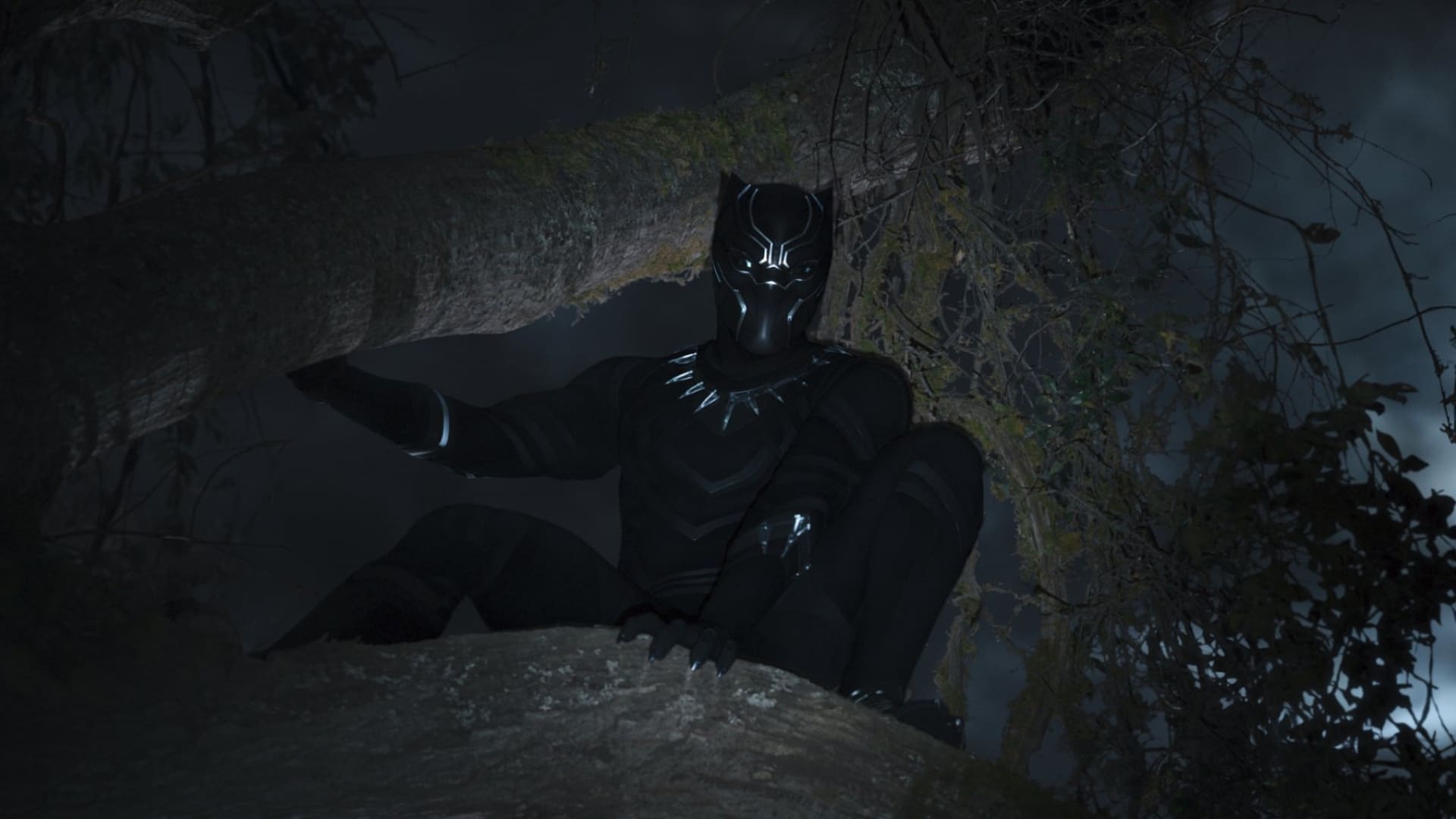 1920x1080 Black Panther Wallpaper HD Free Black Panther Background