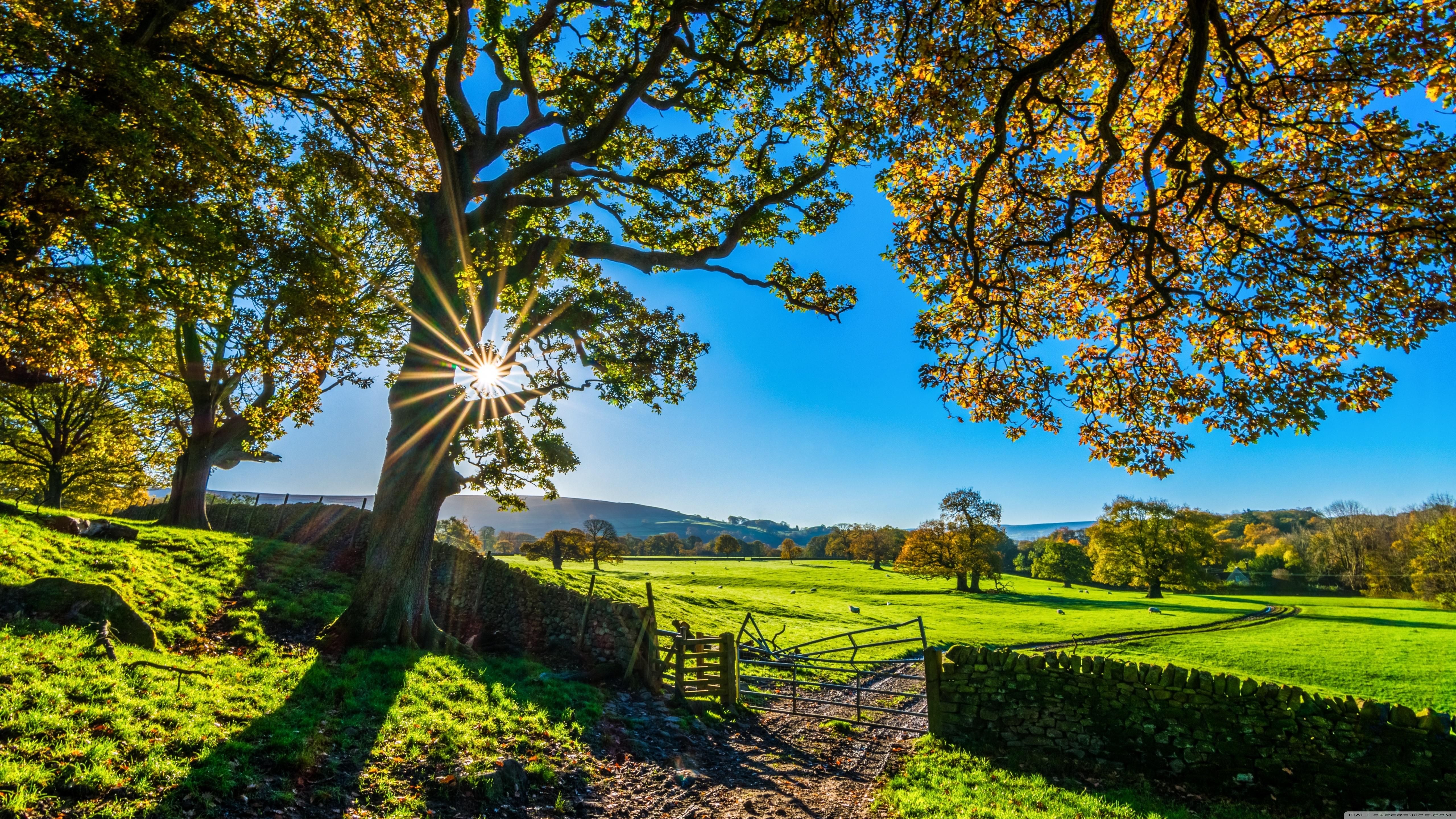 5120x2880 Beautiful England Nature Countryside Scenery Ultra HD Desktop Background Wallpaper for 4K UHD TV : Widescreen & UltraWide Desktop & Laptop : Tablet