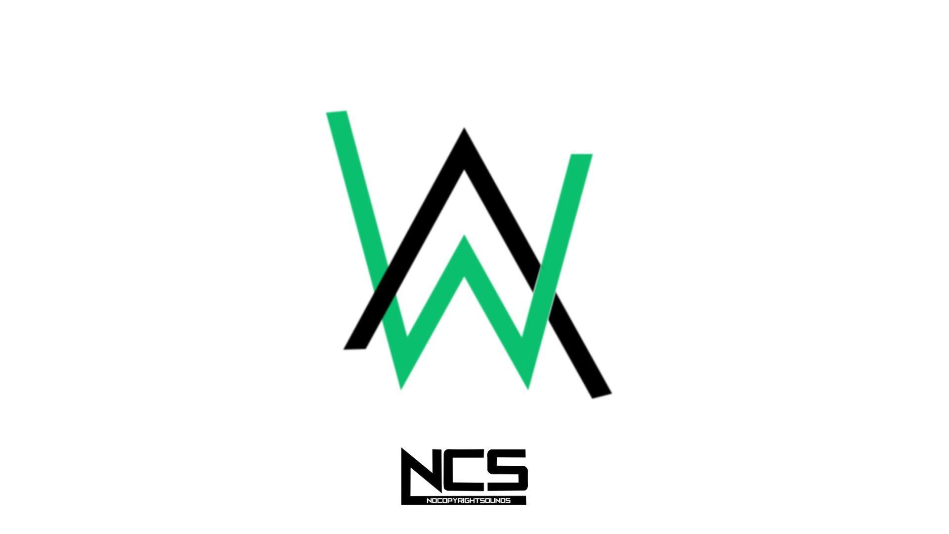 1920x1080 Alan Walker Photo (139 of 145)
