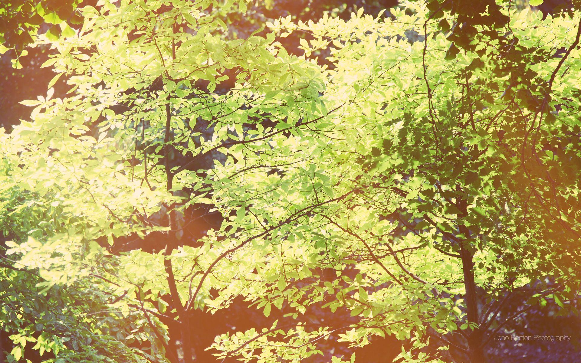 1920x1200 Market wallpaper Widescreen Background