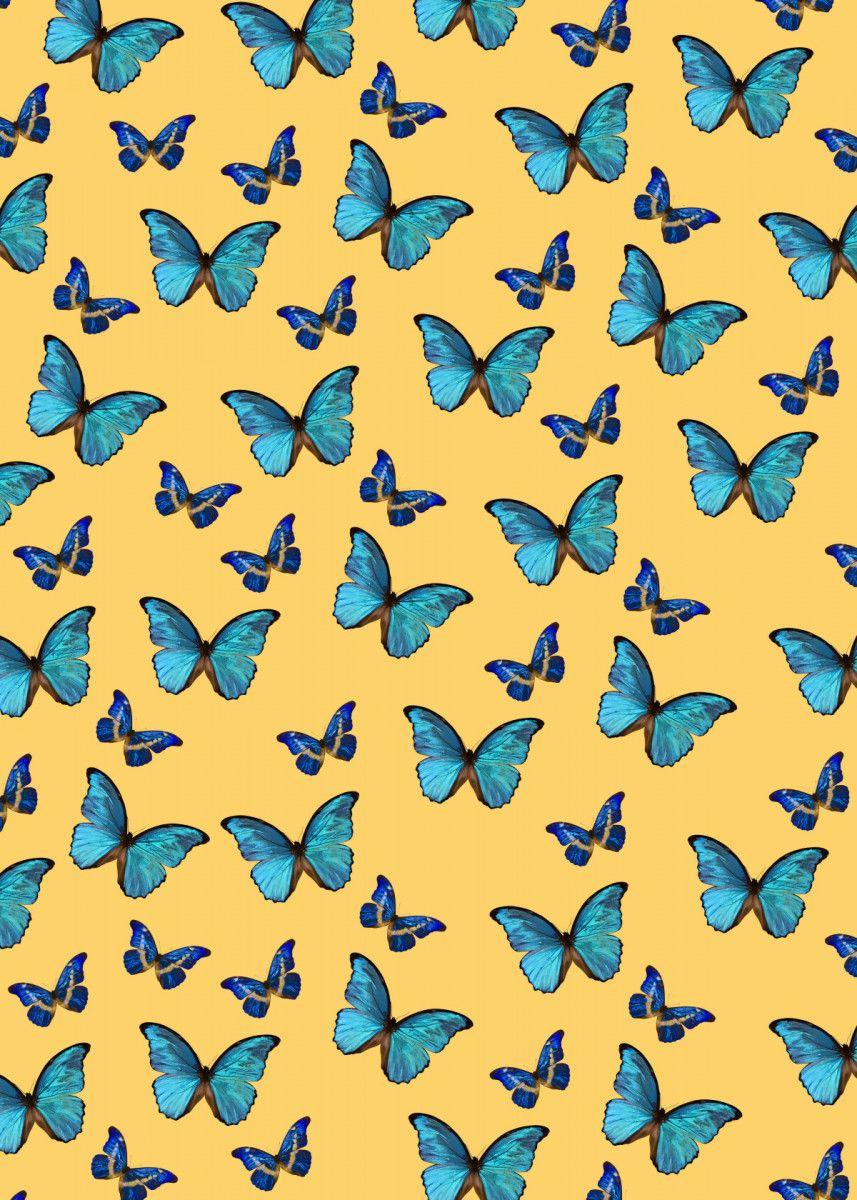 Yellow and Blue Butterfly Wallpapers - Top Free Yellow and Blue Butterfly  Backgrounds - WallpaperAccess