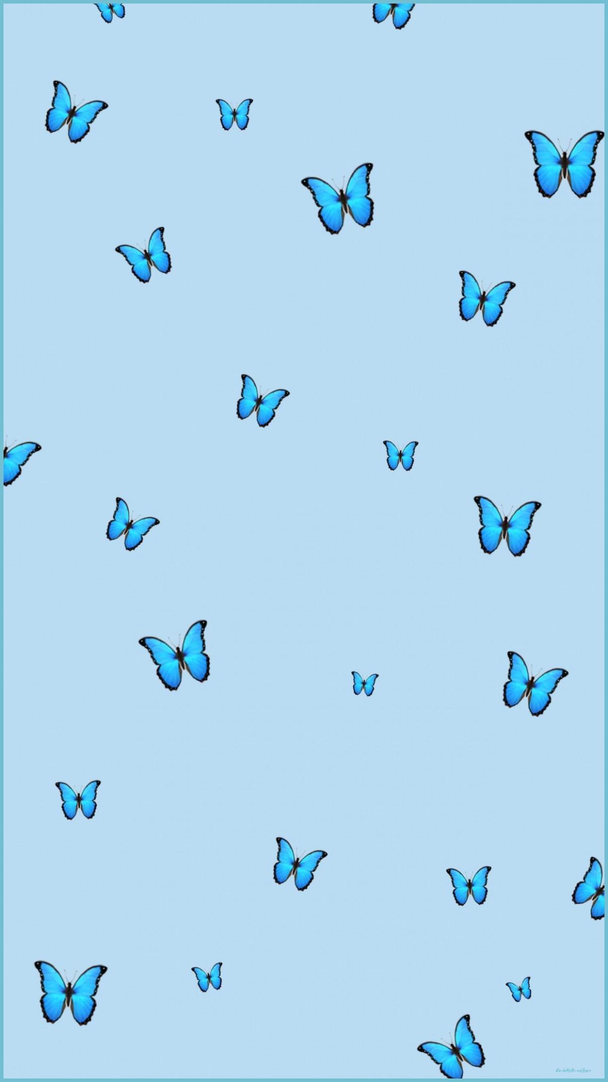 1204x2141 Blue Butterfly Wallpaper Blue Butterfly Wallpaper, Butterfly Butterflies Wallpaper
