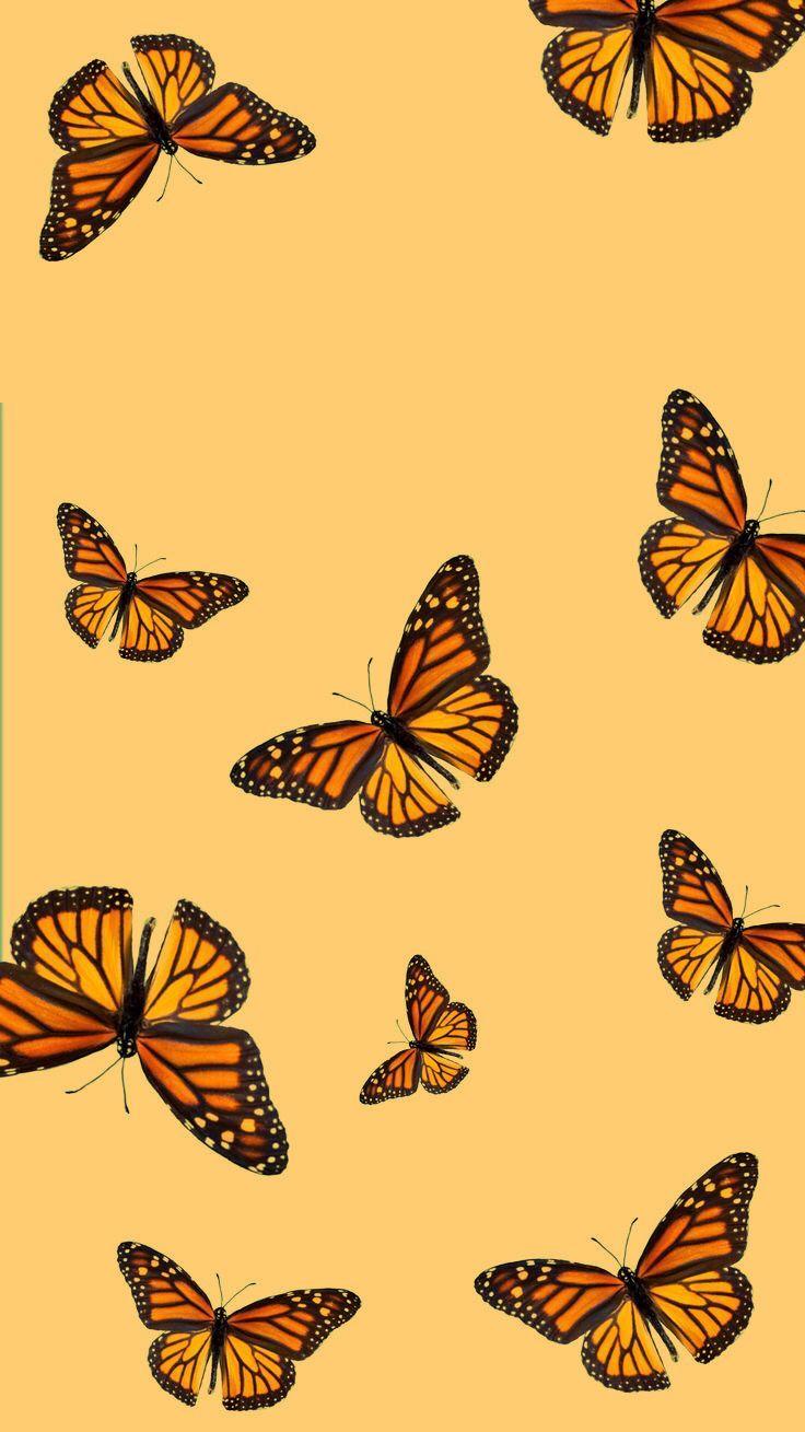 736x1309 created ✨. Cute fall wallpaper, Butterfly wallpaper iphone, iPhone wallpaper yellow