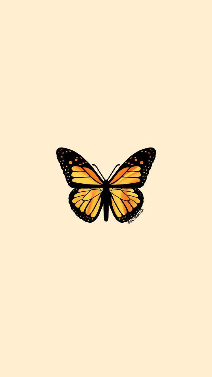 736x1308 Yellow Orange Butterfly. Butterfly wallpaper iphone, iPhone wallpaper yellow, Butterfly wallpaper