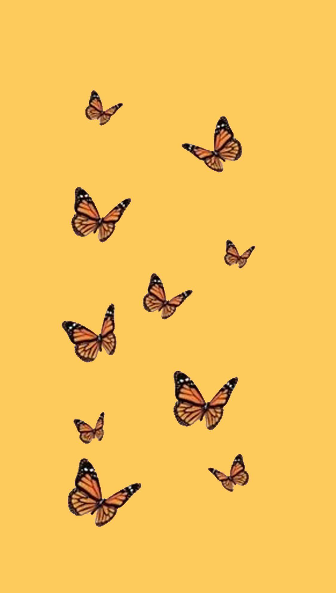 Yellow Butterflies iPhone Wallpapers Top Free Yellow Butterflies iPhone Backgrounds