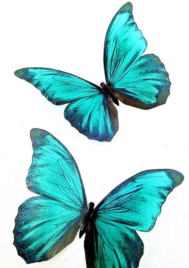 794x1123 Stunning in Flight Teal Blue Butterflies 3D Butterfly Wall. Etsy. Teal wallpaper iphone, Teal wallpaper, 3D butterfly wall art
