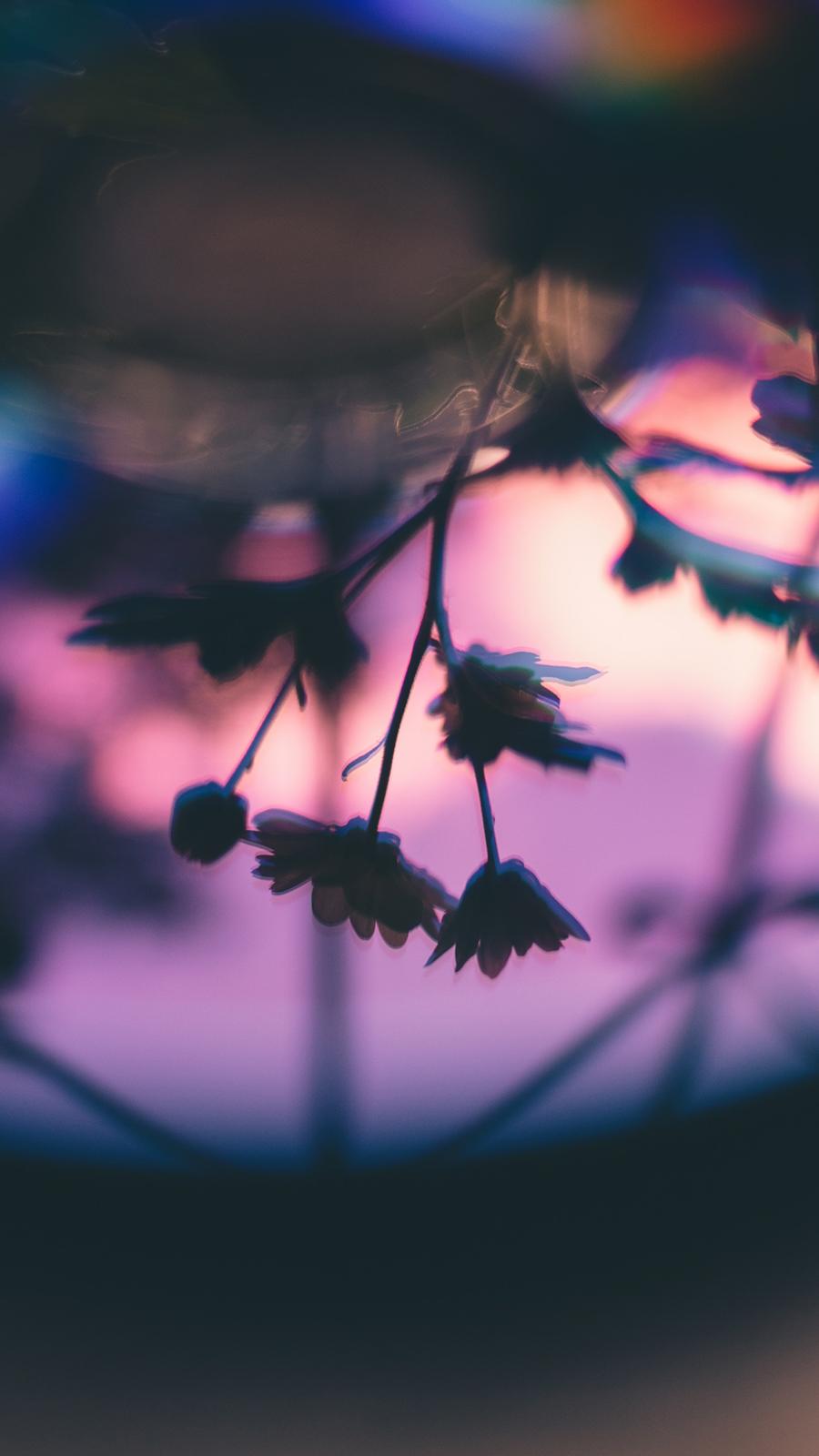 900x1600 Vivo Phone HD Wallpaper Free Download