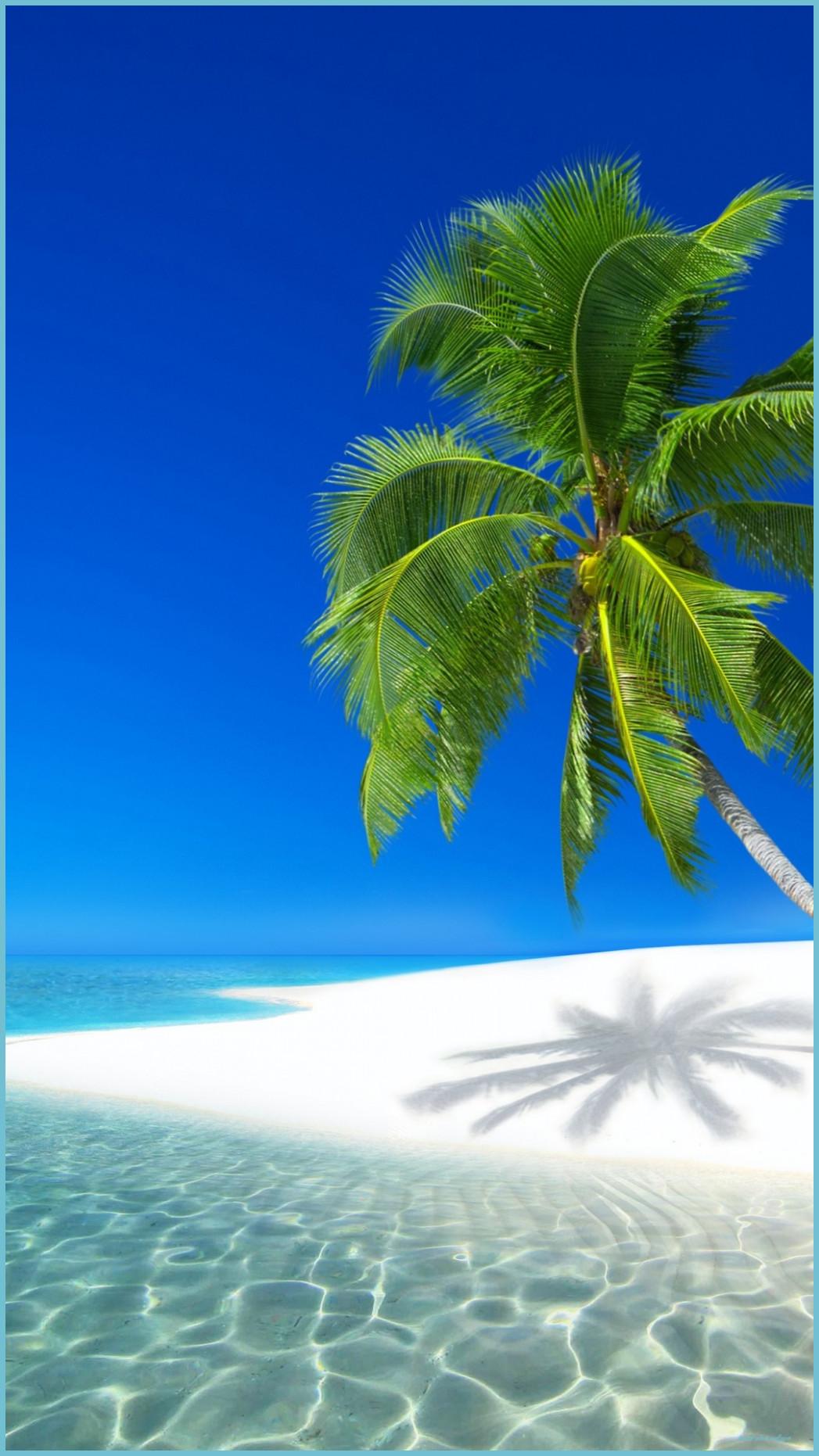 1047x1862 How You Can Attend Tropical iPhone Wallpaper With Minimal Budget. Tropical iPhone Wallpaper