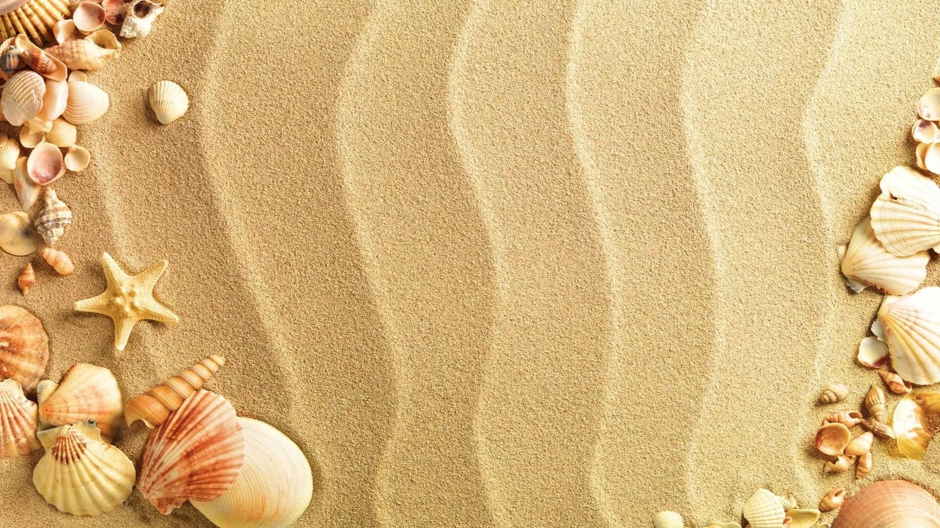 1920x1080 Seashell Wallpaper