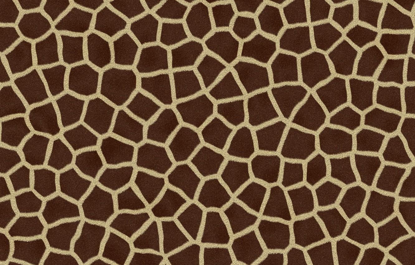 1332x850 Wallpaper nature, pattern, animal, giraffe, skin, Giraffe Skin Pattern image for desktop, section текстуры