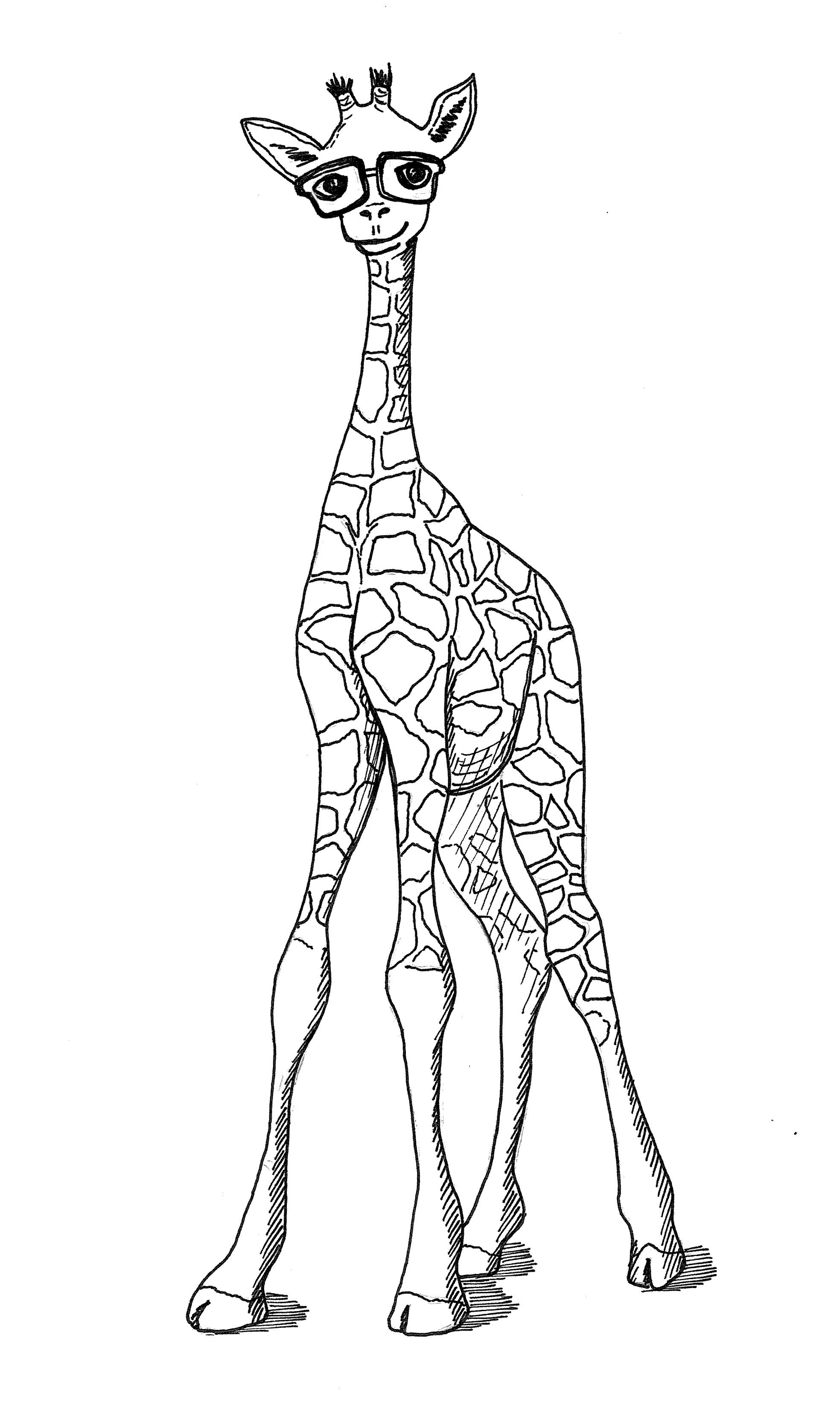 1968x3306 Giraffe Drawing Tumblr