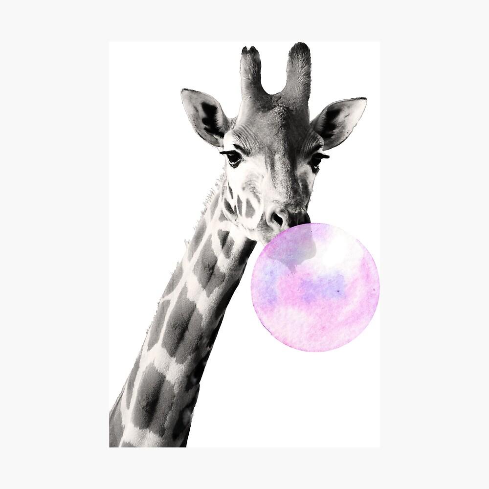 1000x1000 Giraffe, bubblegum, bubble, black and white, photo, giraffe bubblegum Metal Print