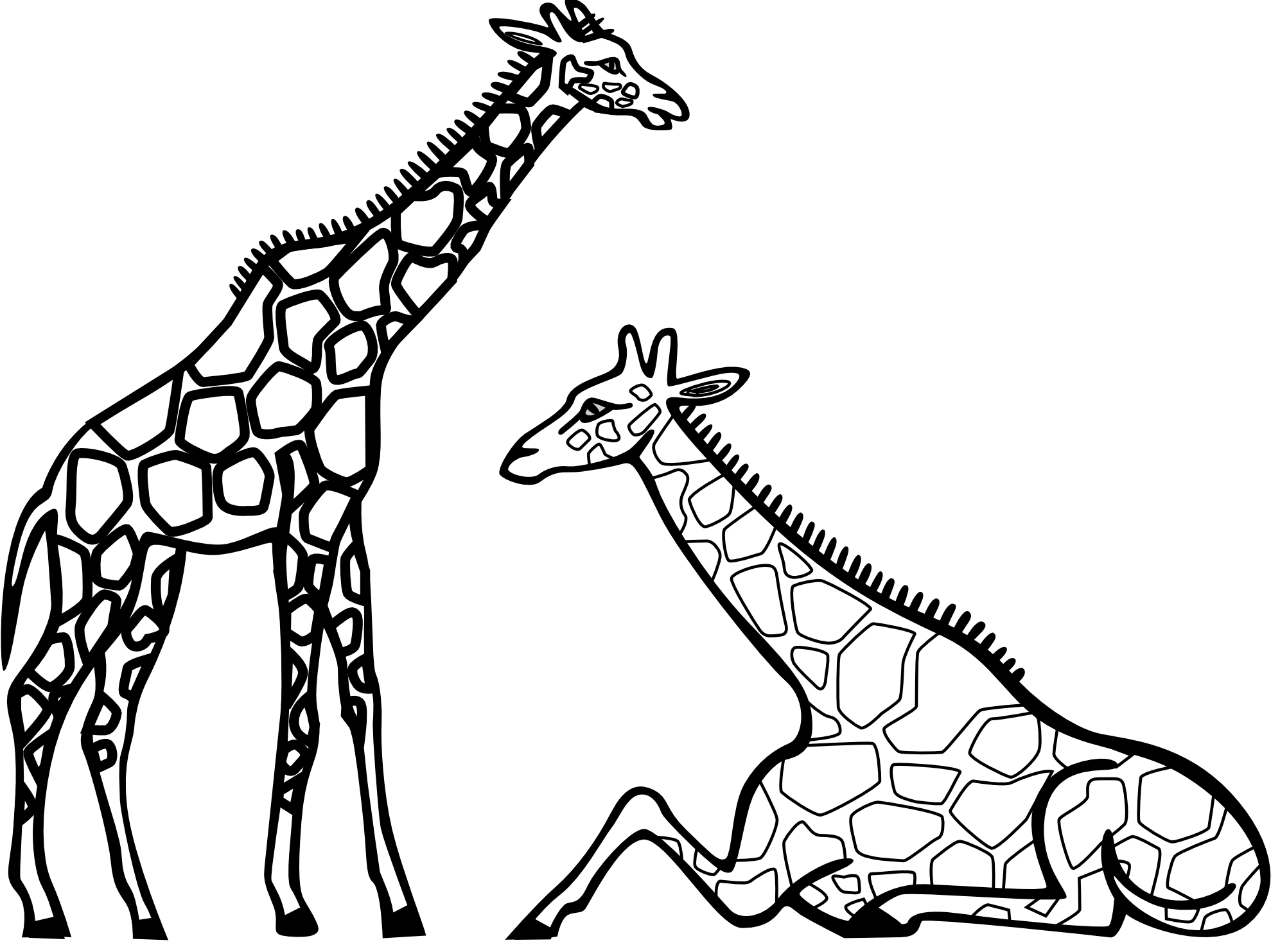 1979x1483 giraffes clipart black and white