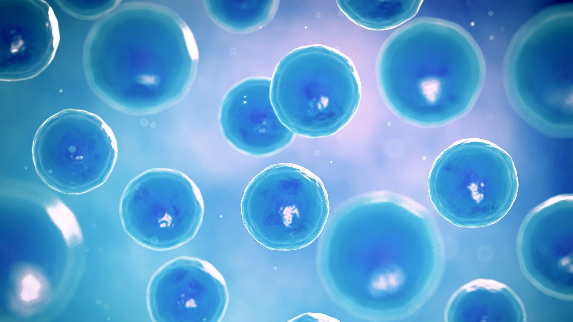 1920x1080 Cells Wallpaper