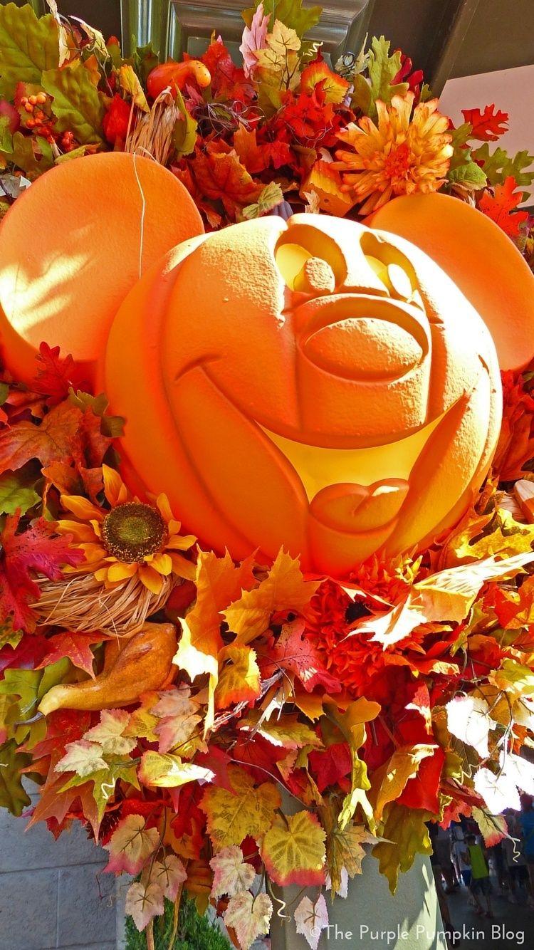 750x1334 Free download Walt Disney World Ive made several other