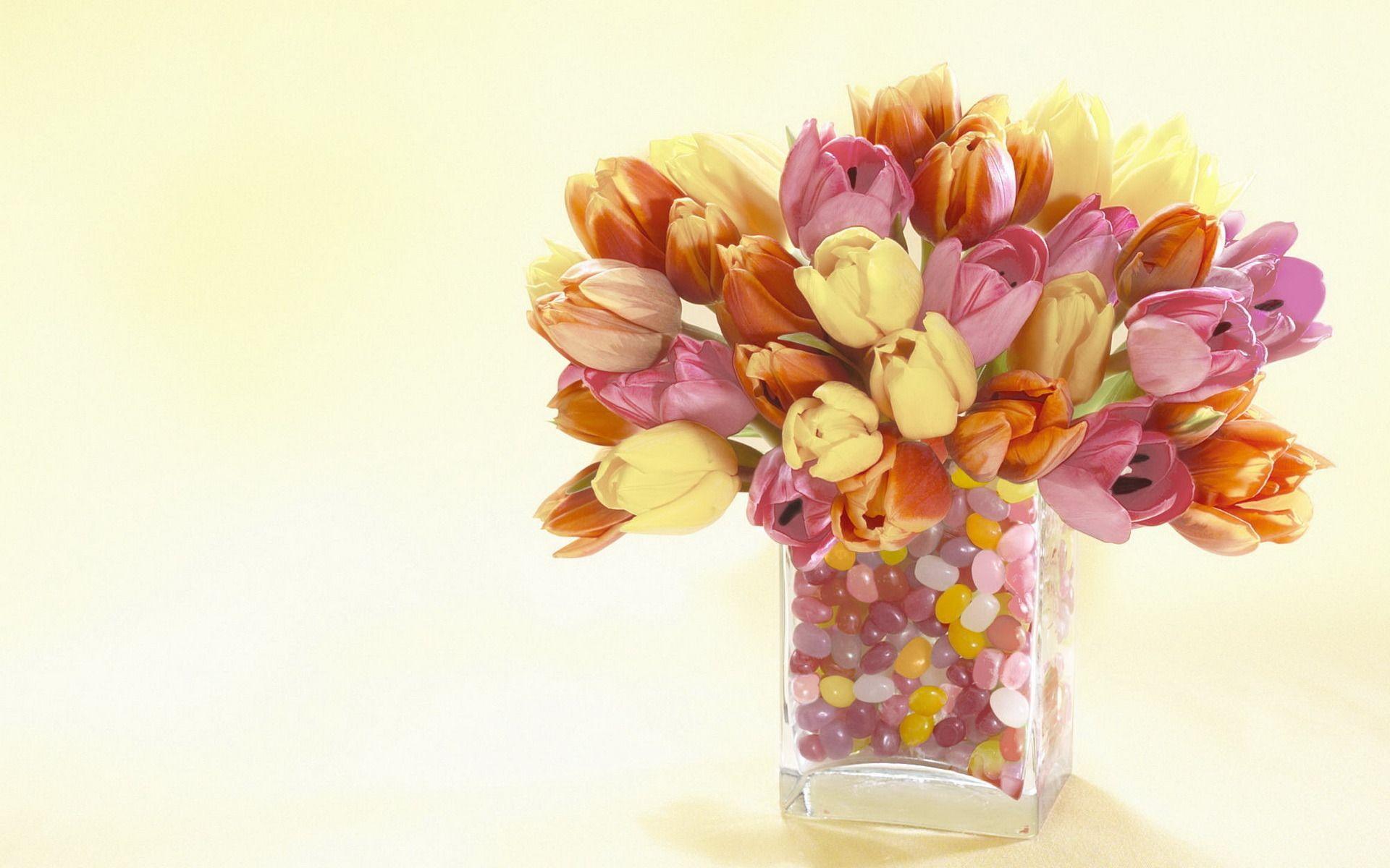 1920x1200 Flowers vase Tulips wallpaper desktop background