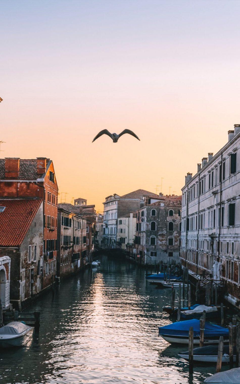 950x1520 Venice Italy Evening Sunset 4K Ultra HD Mobile Wallpaper