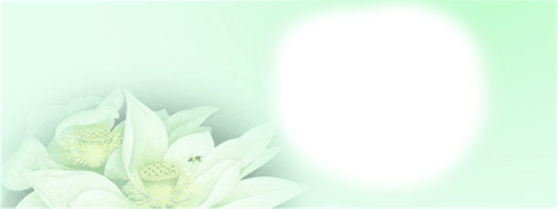 1920x720 Design Graphic White Wallpaper Background, Art, Backdrop, Wave