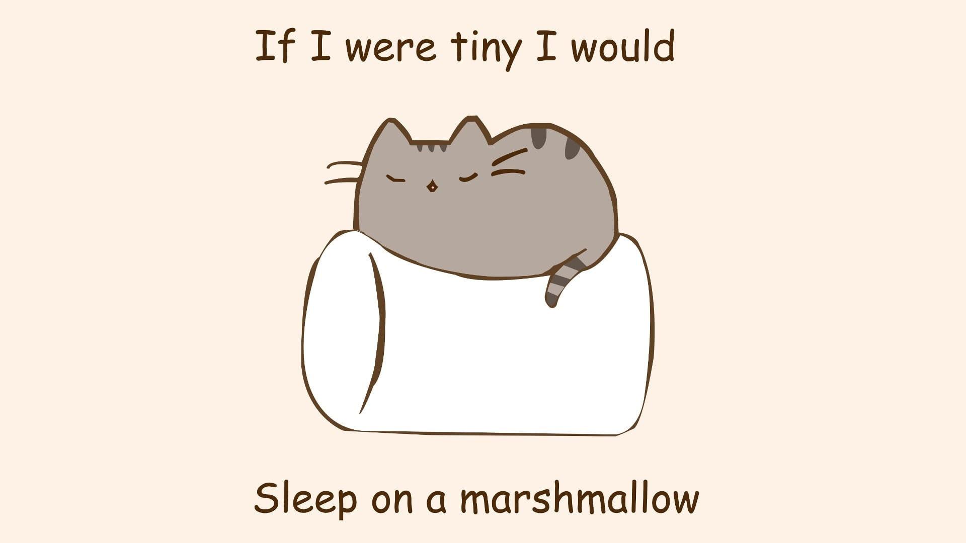 1920x1080 Gray cat cartoon wallpaper, humor, marshmallows, quote, pusheen, artwork • Wallpaper For You HD Wallpaper For Desktop & Mobile