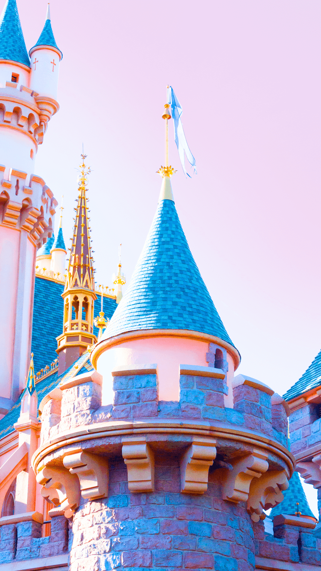 1080x1920 Disneyland iPhone Wallpaper, HD Disneyland iPhone Background on WallpaperBat