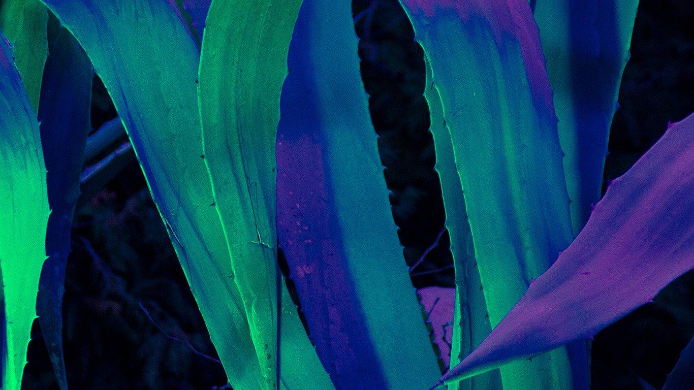 1366x768 wallpaper for desktop, laptop. leaf blue purple green flower pattern background