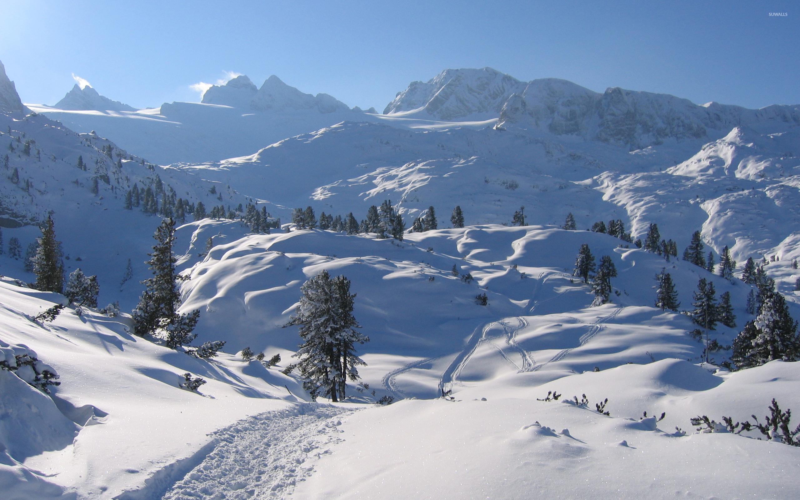 2560x1600 Salzkammergut wallpaper wallpaper