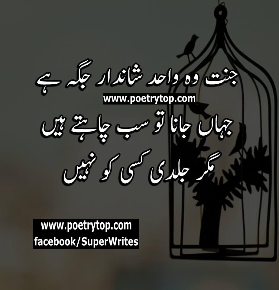 923x960 Islamic Quotes Urdu Wallpaper Struggling In A Cage