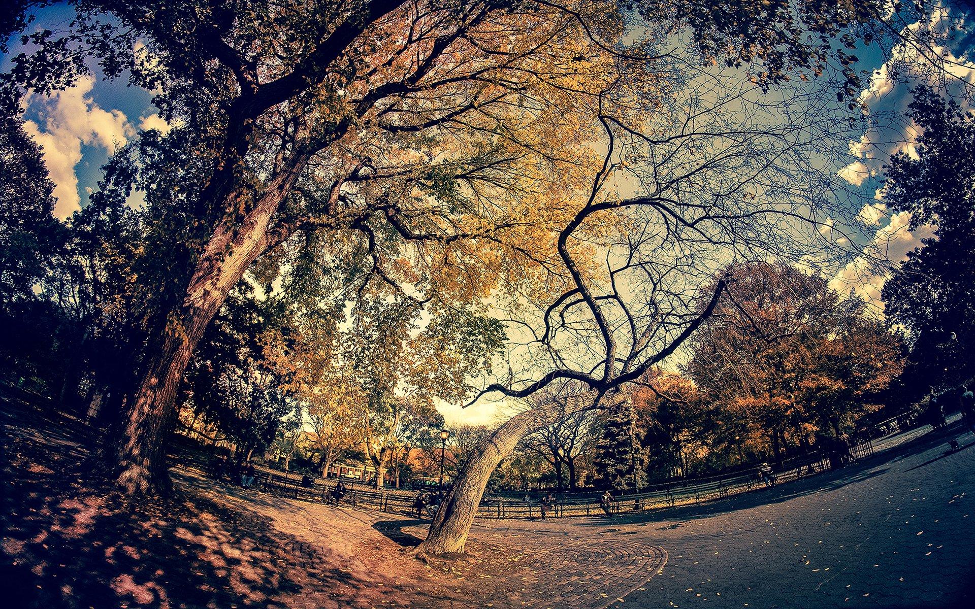 1920x1200 Fisheye HD Wallpaper and Background Image