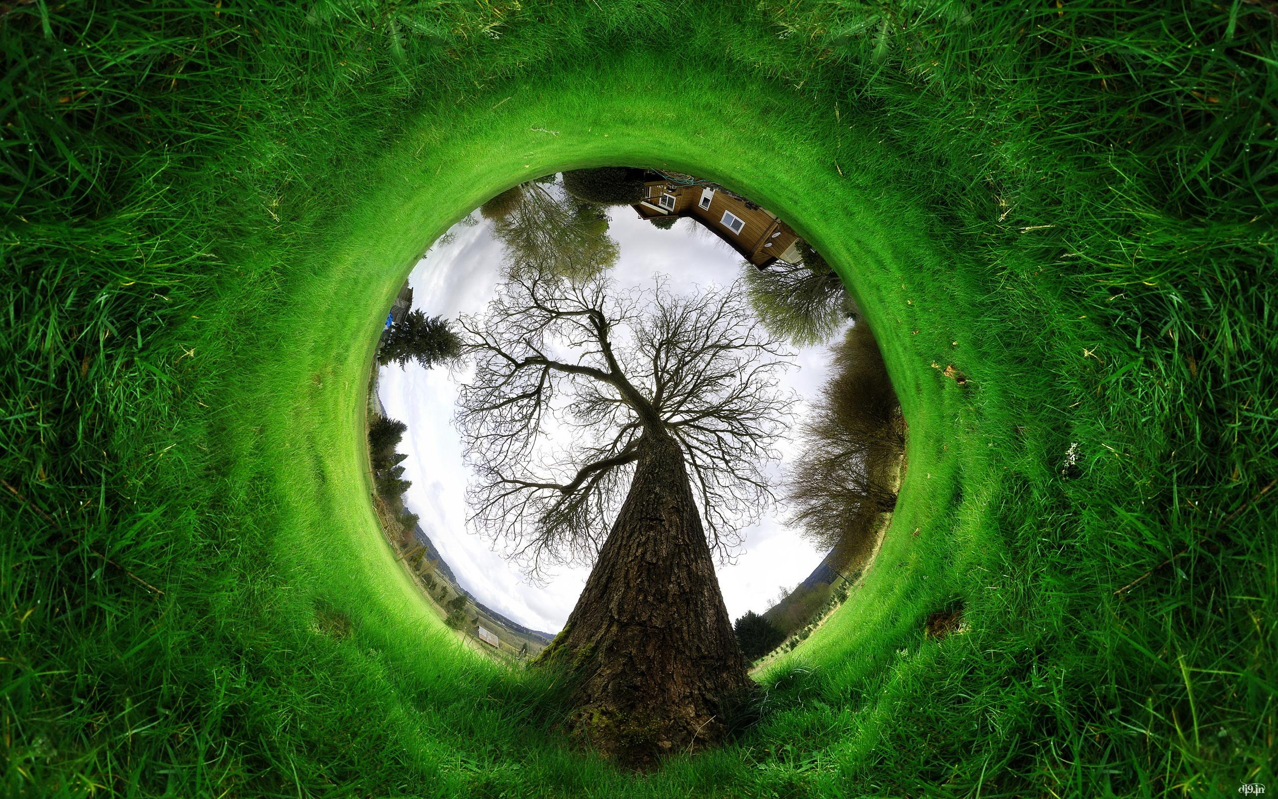 2560x1600 Fisheye wallpaperx1600