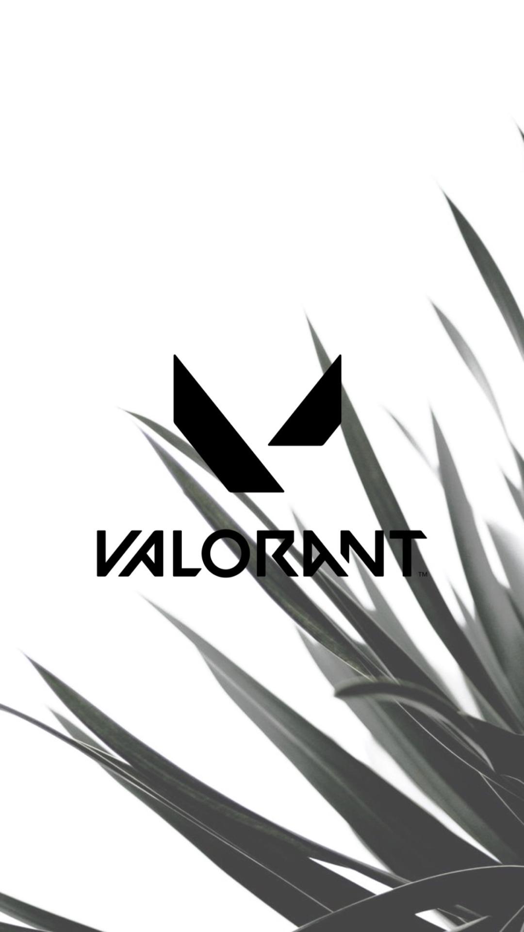 1080x1920 JinxAesthetics