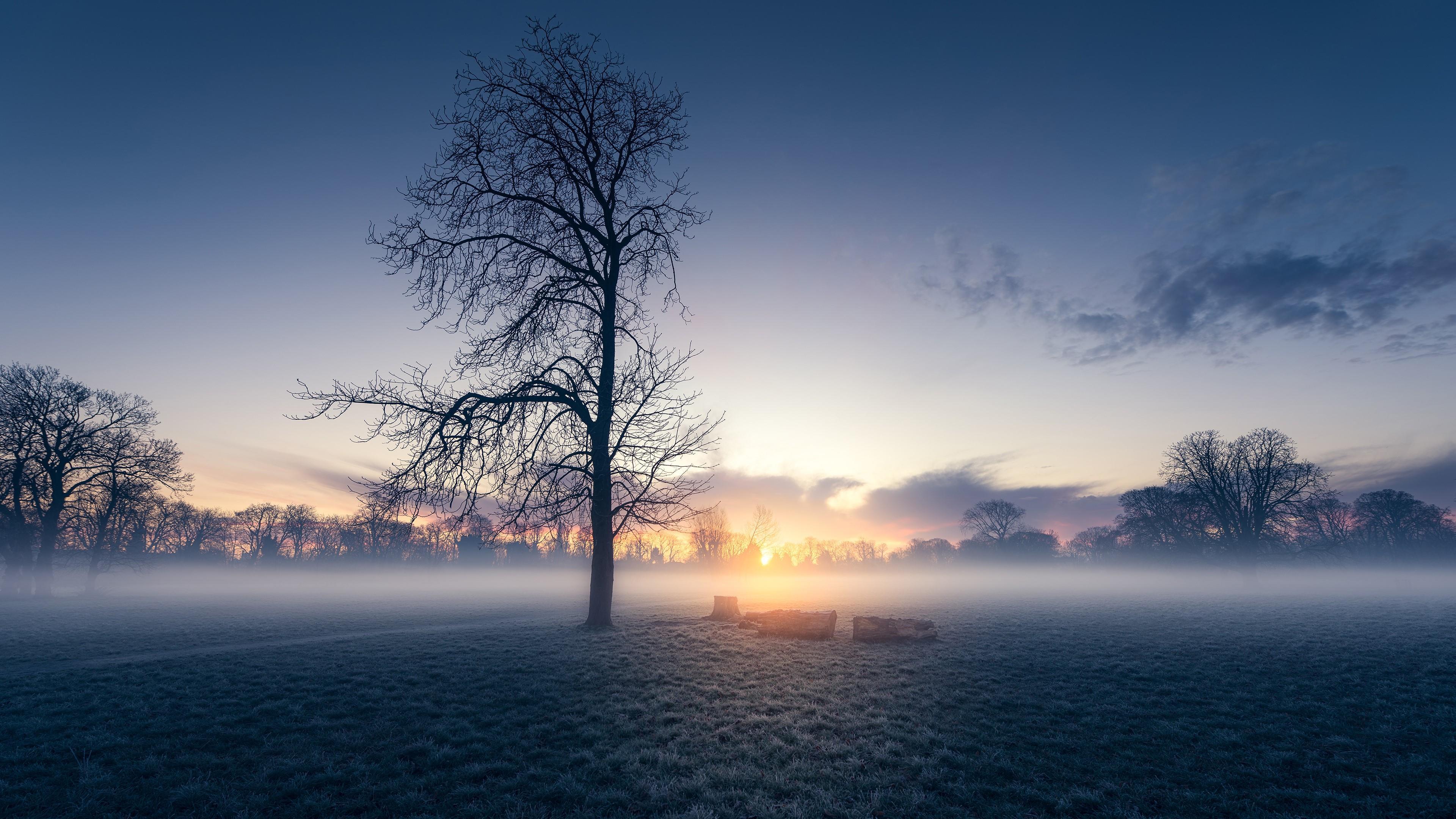 3840x2160 Misty Morning Wallpaper. Wallpaper Studio 10. Tens of thousands HD