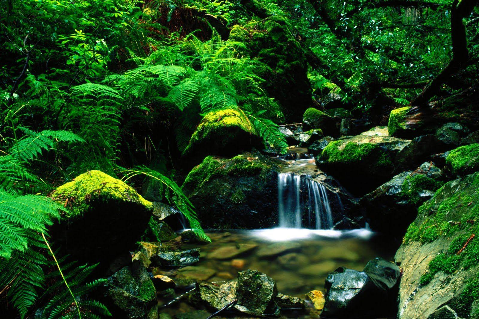 1600x1066 Most Beautiful Nature Wallpaper Group Picture