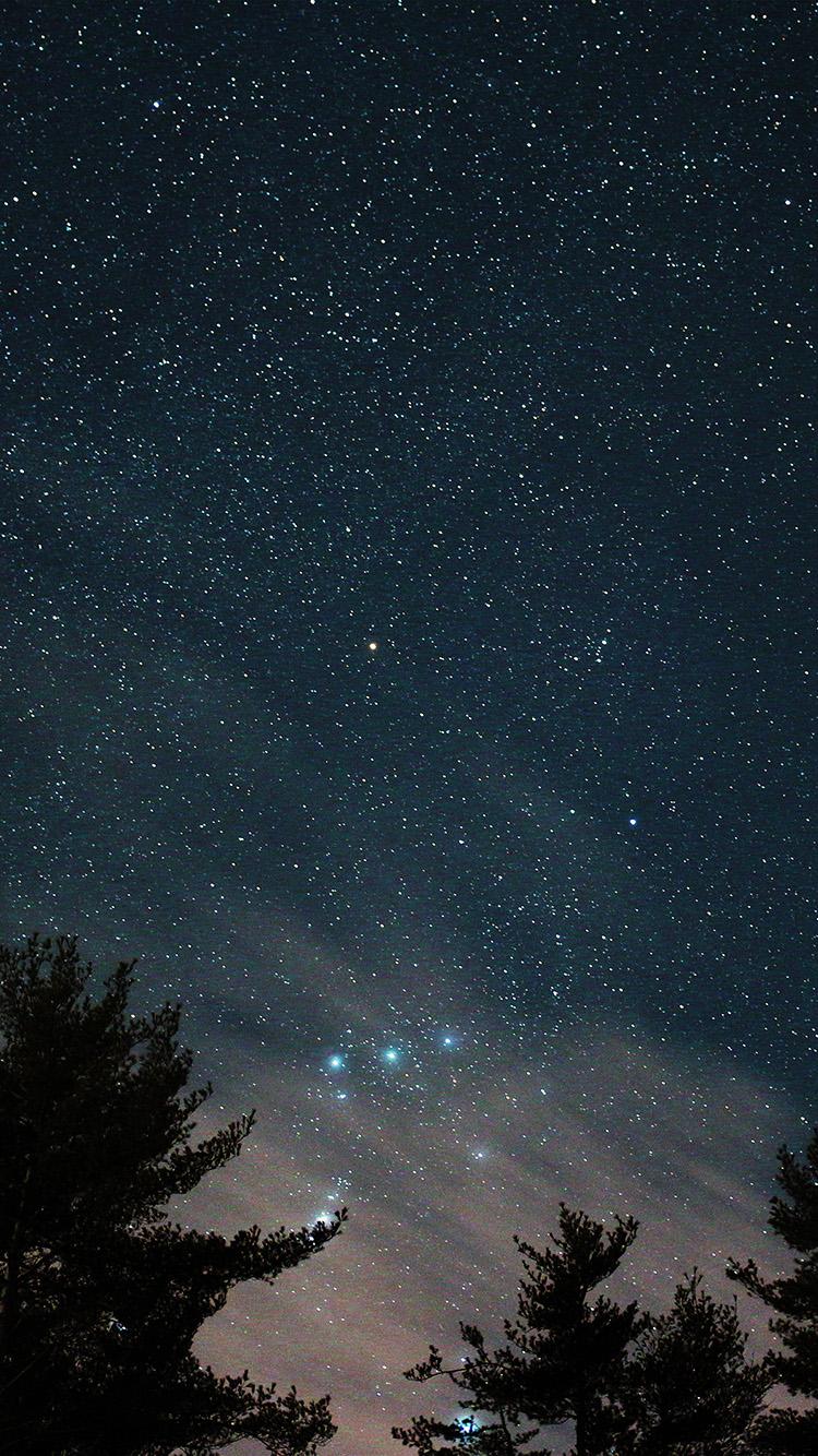 750x1334 Night Sky Star Wood Space Starry Blue Dark Wallpaper