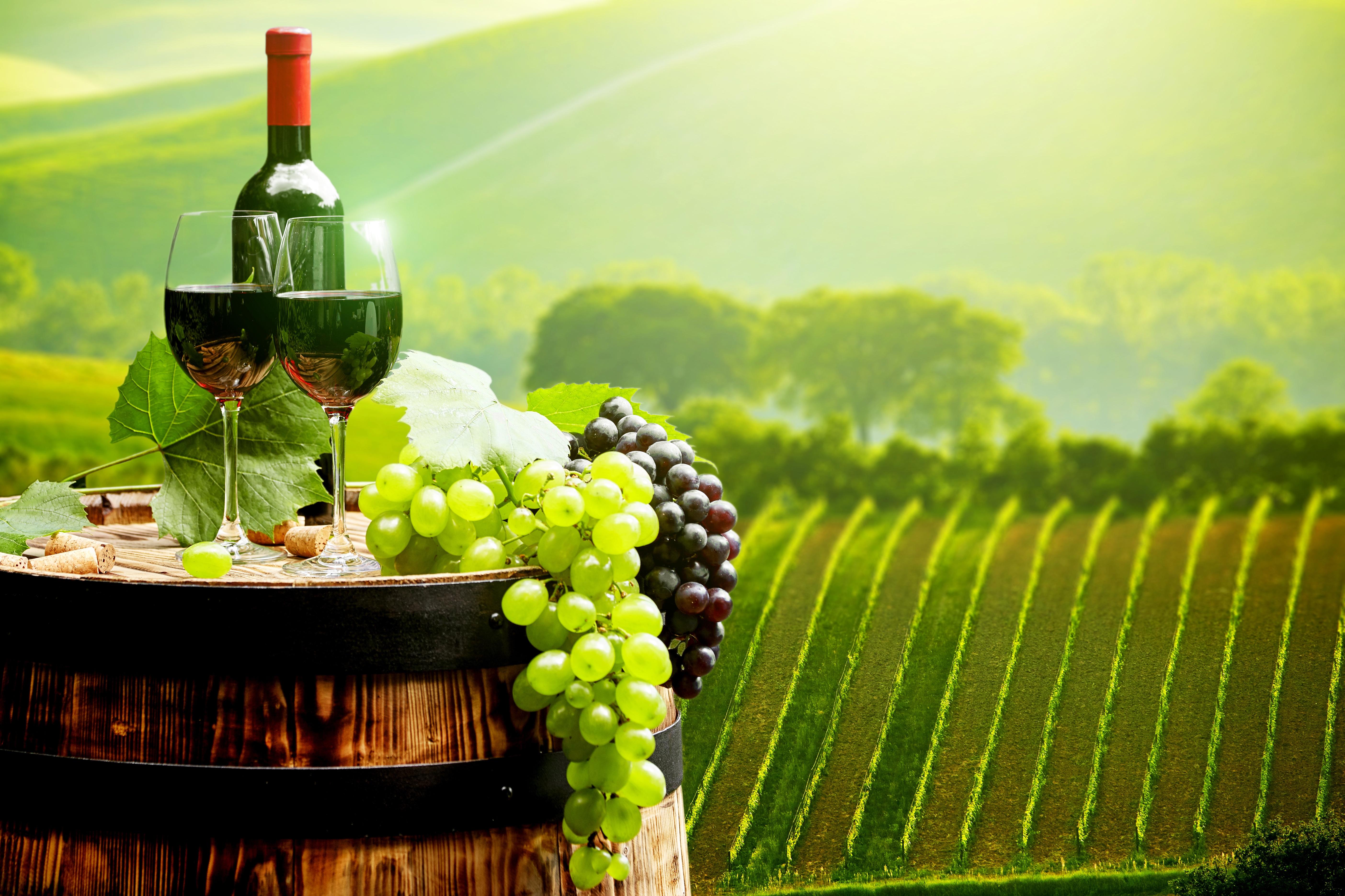 Wine Barrel Wallpapers - Top Free Wine Barrel Backgrounds - WallpaperAccess