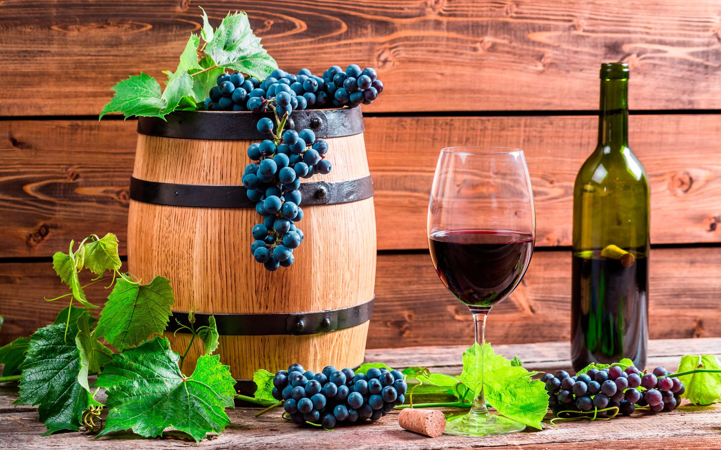Wine Barrel Wallpapers - Top Free Wine Barrel Backgrounds - WallpaperAccess
