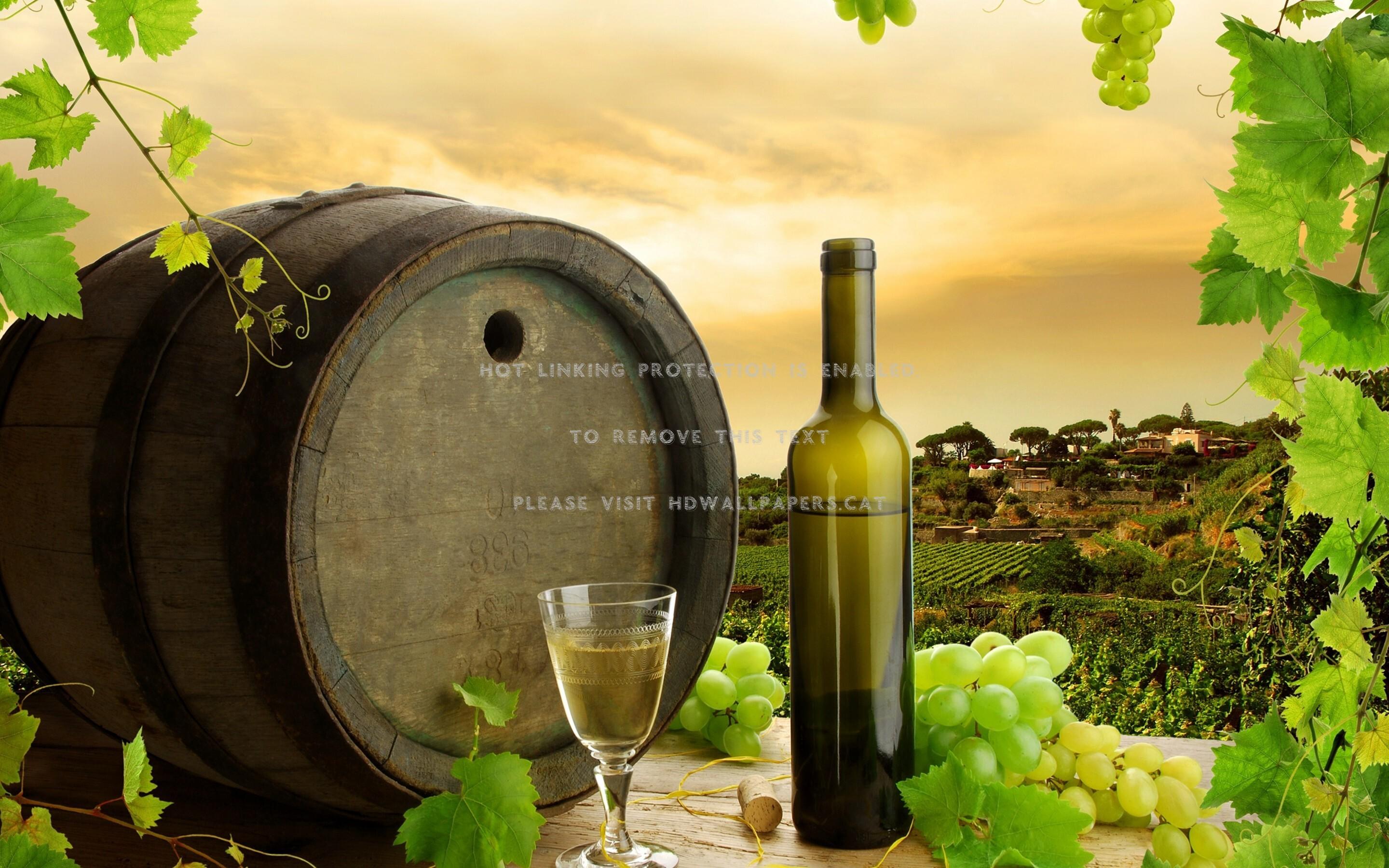 Wine Barrel Wallpapers - Top Free Wine Barrel Backgrounds - WallpaperAccess