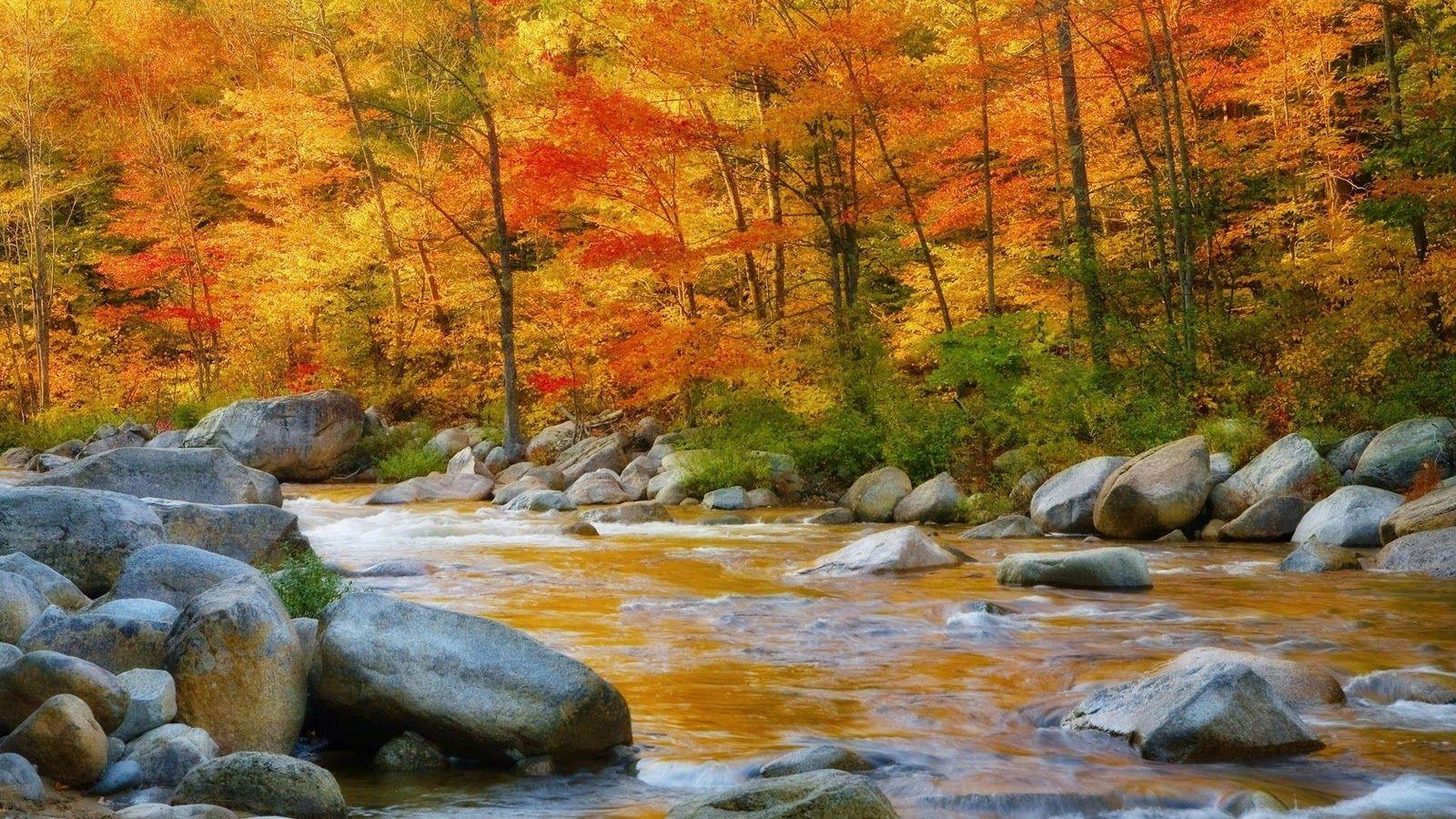 1600x900 Most Exotic River HD Wallpaper (Part 2)