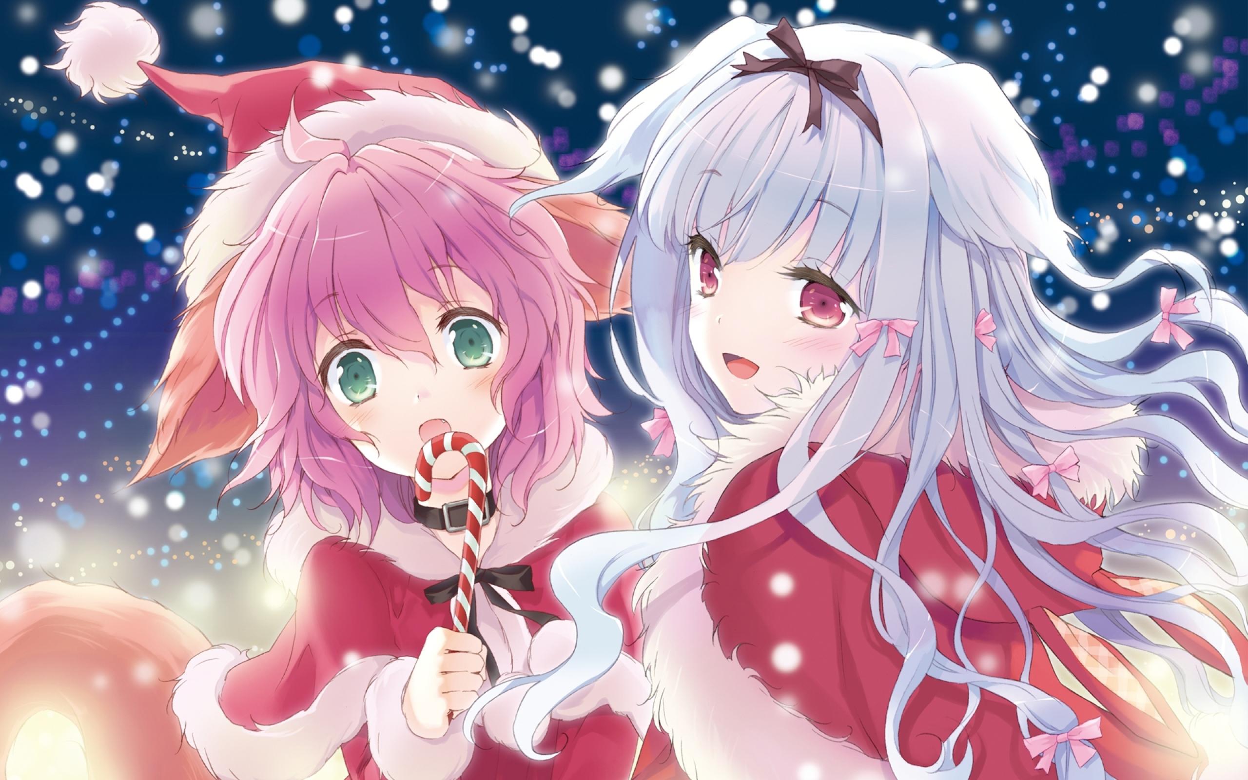 2560x1600 Cute Anime Girl Christmas Wallpaper HD