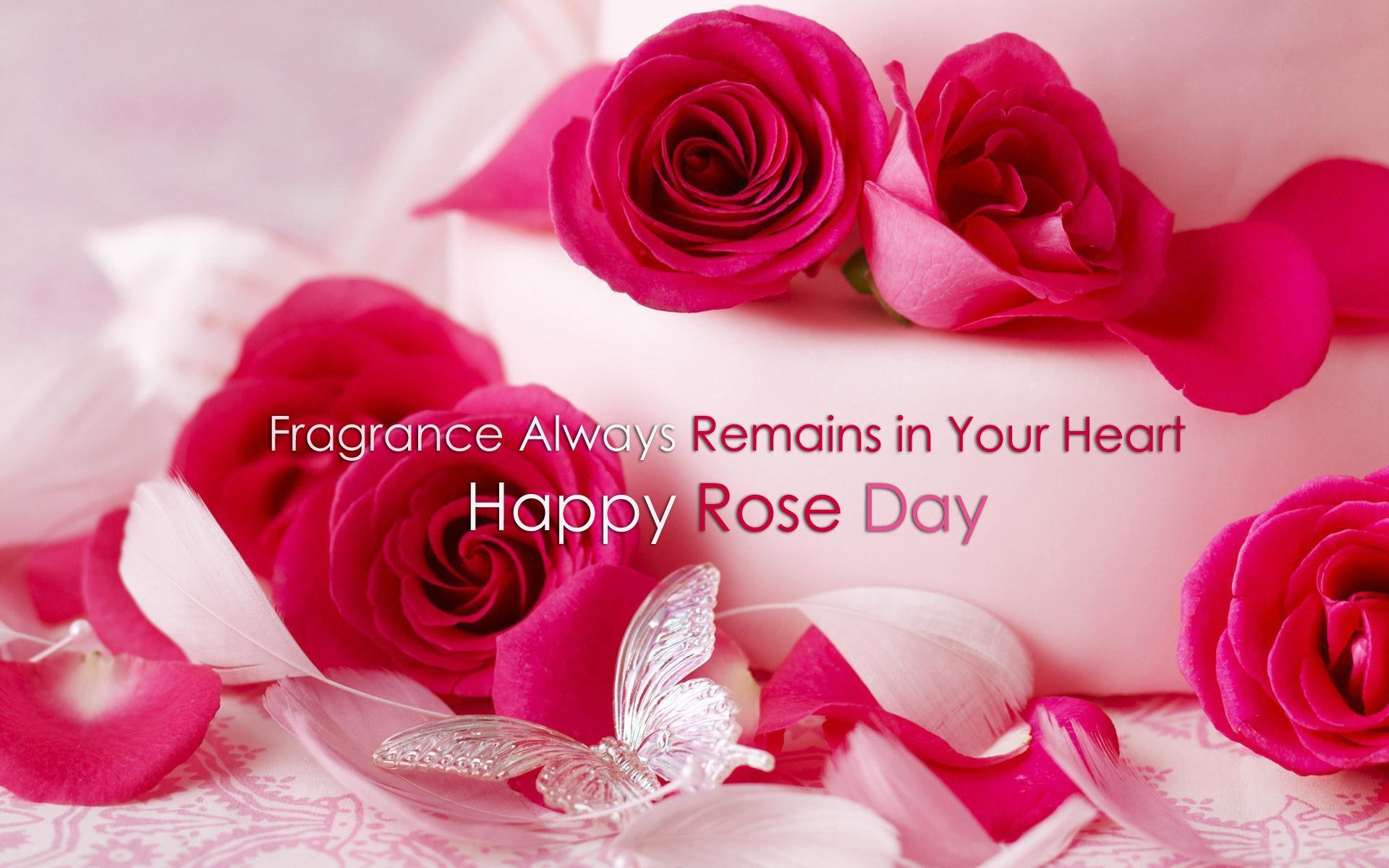 Happy Rose Day Wallpapers - Top Free Happy Rose Day Backgrounds -  WallpaperAccess