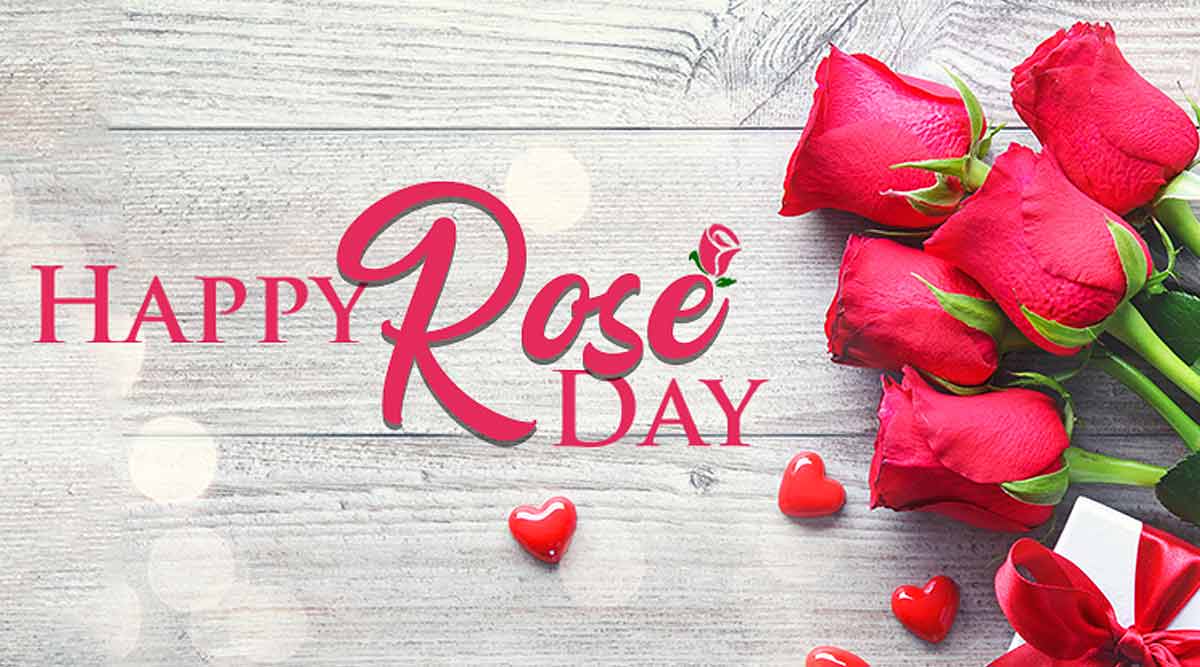 Happy Rose Day Wallpapers - Top Free Happy Rose Day Backgrounds ...